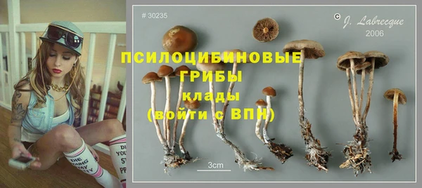 mdpv Новозыбков