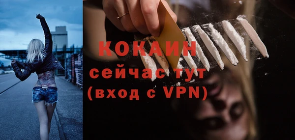 mdpv Новозыбков