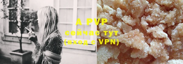 mdpv Новозыбков