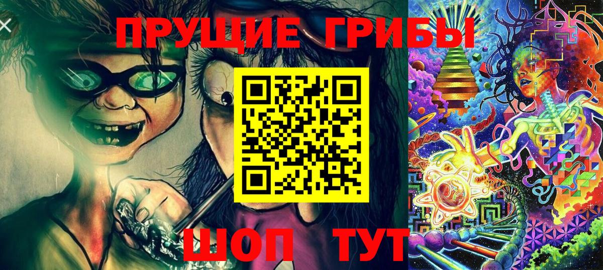 Галлюциногенные грибы Psilocybine cubensis Черногорск