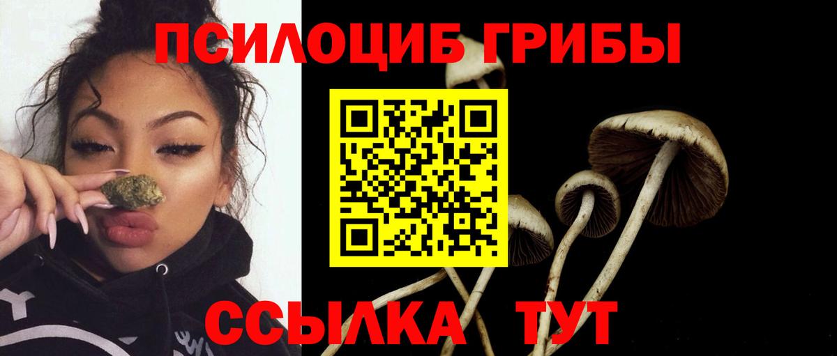 Галлюциногенные грибы Magic Shrooms  Вход с VPN  Черногорск  Галлюциногенные грибы Cubensis 